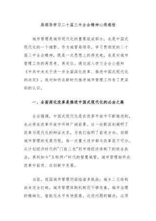 局领导学习二十届三中全会精神心得感悟