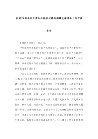 在2024年全市矛盾纠纷排查化解品牌建设推进会上的汇报发言