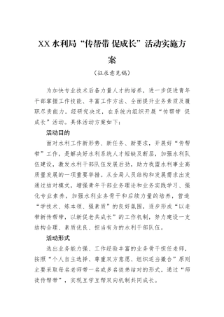 XX水利局“传帮带+促成长”活动实施方案