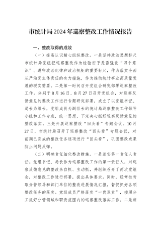 市统计局2024年巡察整改工作情况报告