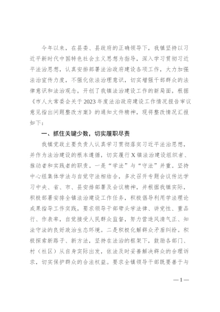 镇人民政府法治政府建设工作整改情况的报告