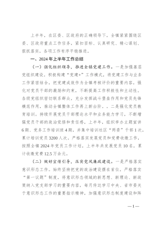 乡镇2024年上半年工作总结和下半年工作计划