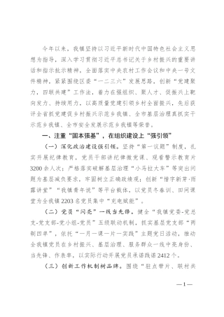 乡镇2024年上半年乡村振兴工作总结