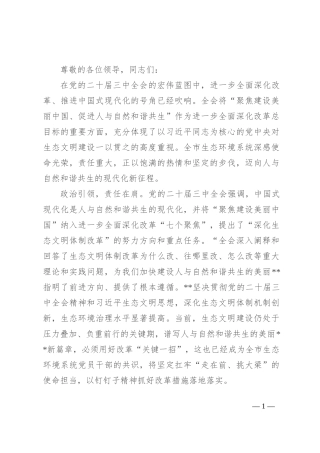 生态环境局长学习贯彻二十届三中全会精神研讨发言