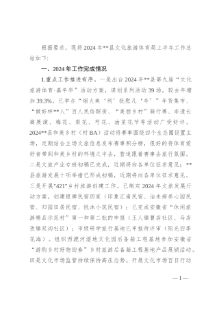 县文化旅游体育局2024年上半年工作总结和下半年工作安排