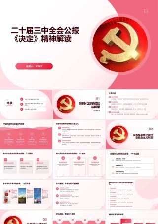 二十届三中全会公报《决定》精神解读