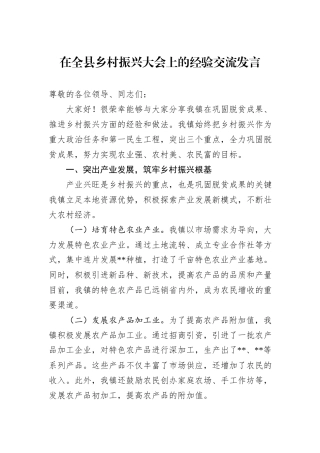 在全县乡村振兴大会上的经验交流发言