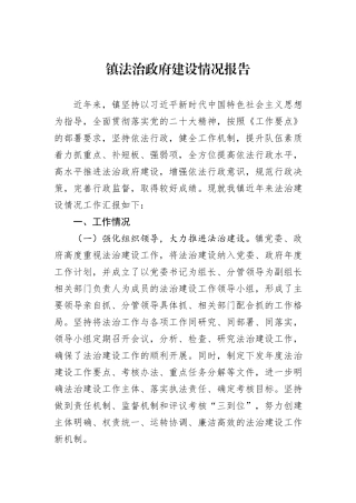 镇法治政府建设情况报告