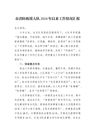 市消防救援大队2024年以来工作情况汇报