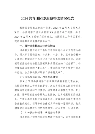 2024共青团团委巡察整改情况报告20241031