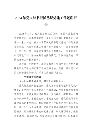 2024年党支部书记抓基层党建工作述职报告20241031