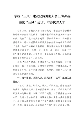 学校“三风”建设宣传贯彻大会上的讲话：强化“三风”建设，培养优秀人才20241031