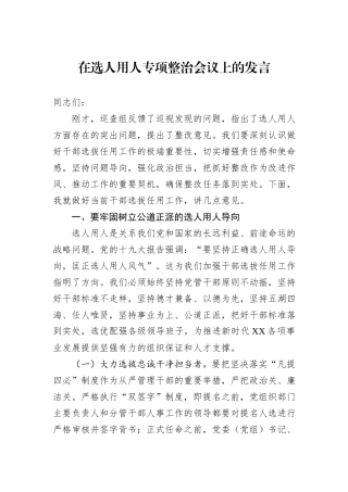 在选人用人专项整治会议上的发言20241031