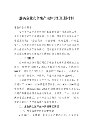 落实企业安全生产主体责任汇报材料20241105
