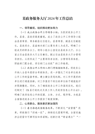 某政务服务大厅2024年工作总结20241105