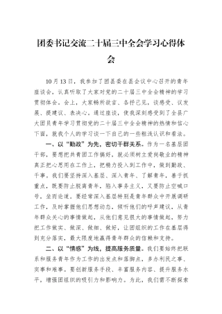 团委书记交流二十届三中全会学习心得体会20241105