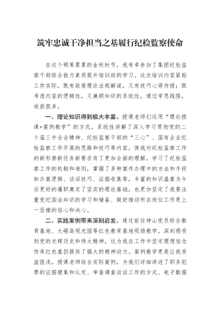 筑牢忠诚干净担当之基履行纪检监察使命20241105