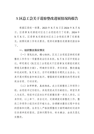X区总工会关于巡察整改进展情况的报告