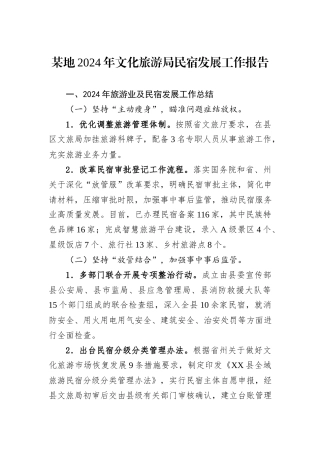 某地2024年文化旅游局民宿发展工作报告