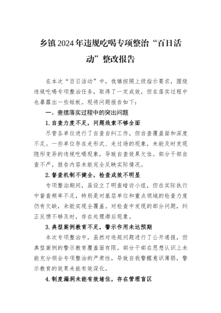 乡镇2024年违规吃喝专项整治“百日活动”整改报告