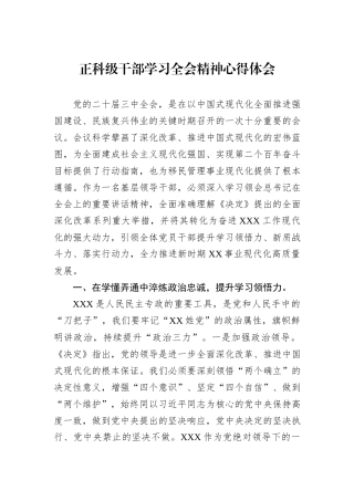 正科级干部学习全会精神心得体会