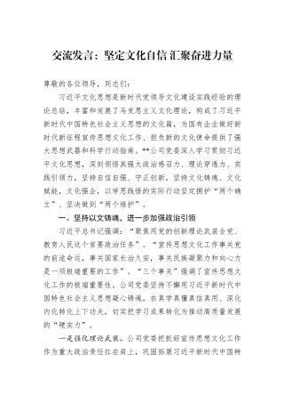 交流发言：坚定文化自信+汇聚奋进力量