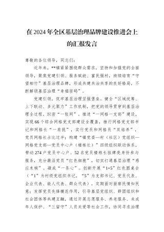 在2024年全区基层治理品牌建设推进会上的汇报发言