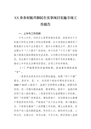 2024年XX乡乡村振兴和民生实事项目实施专项工作报告