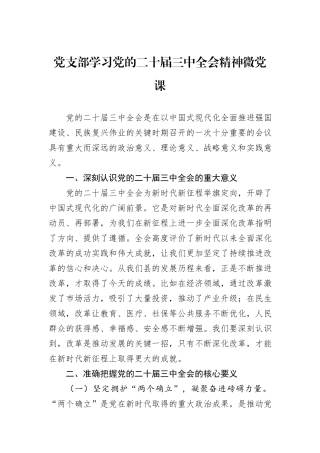 党支部学习党的二十届三中全会精神微党课