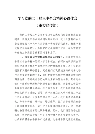 学习党的二十届三中全会精神心得体会（市委宣传部）