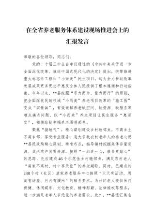 在全省养老服务体系建设现场推进会上的汇报发言
