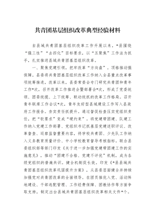 共青团基层组织改革典型经验材料