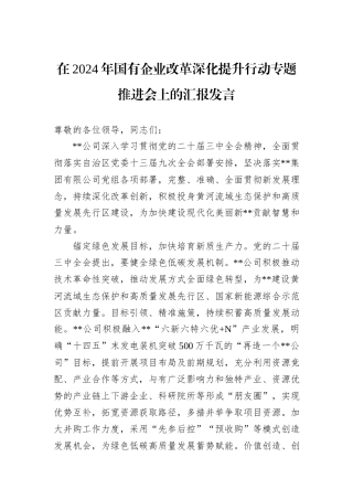 在2024年国有企业改革深化提升行动专题推进会上的汇报发言