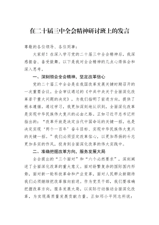在二十届三中全会精神研讨班上的发言