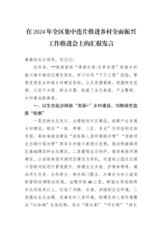 在2024年全区集中连片推进乡村全面振兴工作推进会上的汇报发言