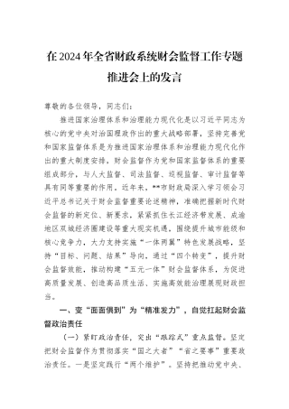 在2024年全省财政系统财会监督工作专题推进会上的发言