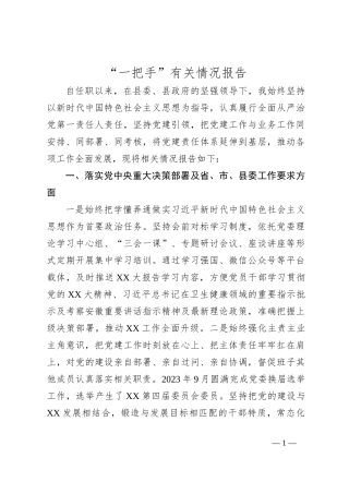 “一把手”有关情况报告