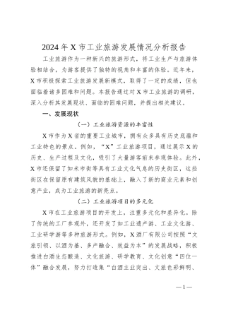2024年X市工业旅游发展情况分析报告