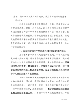 党课：铸牢中华民族共同体意识，助力乡村振兴专题党课