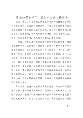 基层公安学习二十届三中全会心得体会