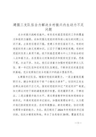 建强三支队伍全力解决乡村振兴内生动力不足问题