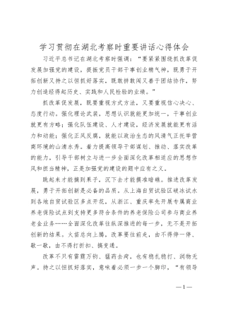 学习贯彻在湖北考察时重要讲话心得体会