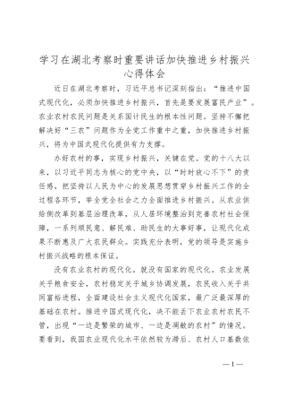 学习在湖北考察时重要讲话加快推进乡村振兴心得体会