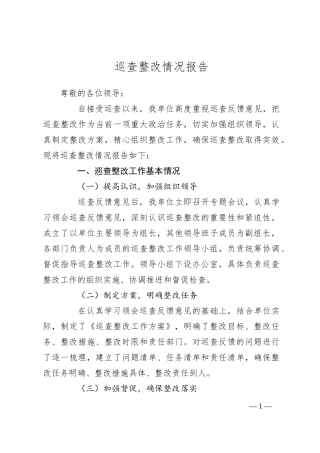 巡查整改情况报告