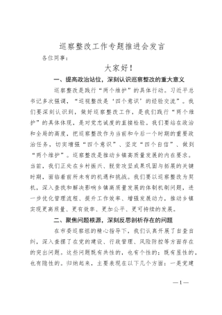 巡察整改工作专题推进会发言