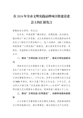 在2024年全市文明实践品牌项目推建设进会上的汇报发言