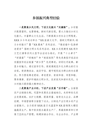 乡镇振兴典型经验