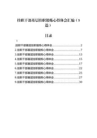 挂职干部基层挂职锻炼心得体会汇编（9篇）
