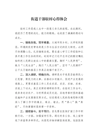 街道干部驻村心得体会
