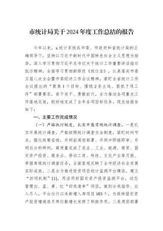 市统计局关于2024年度工作总结的报告